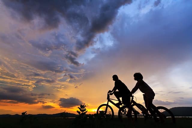 Leistungen einer Fahrradversicherung